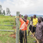 Fencing in the Garden